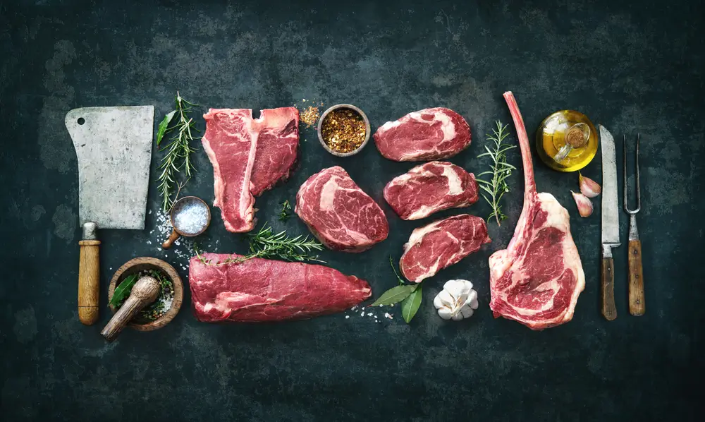 Beef-SA-Live-Stock