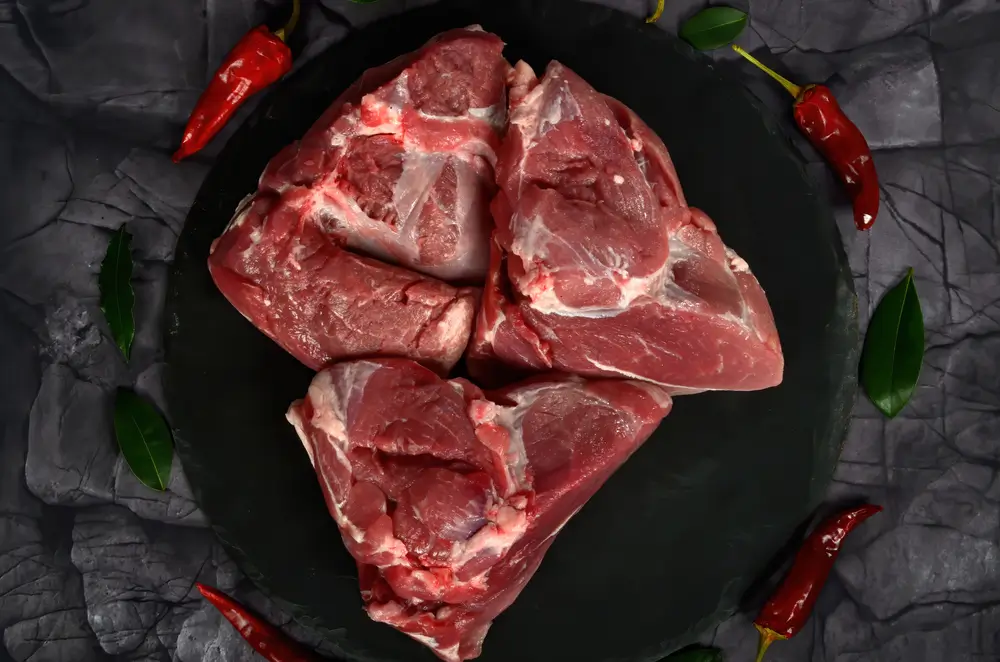 SA Livestock Fresh meat and halal meat supplier near me, Karachi pakistan camel meat for sale in pakistan SA livestock
